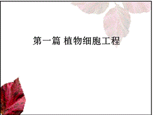 遗传学ppt课件第1章新细胞工程.ppt