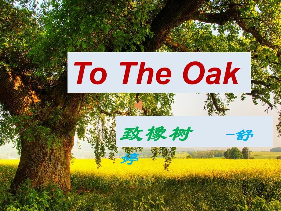 《Totheoak》致橡树英文朗诵PPT.ppt_第1页