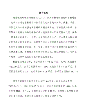 宁德印刷包装项目可行性研究报告.docx