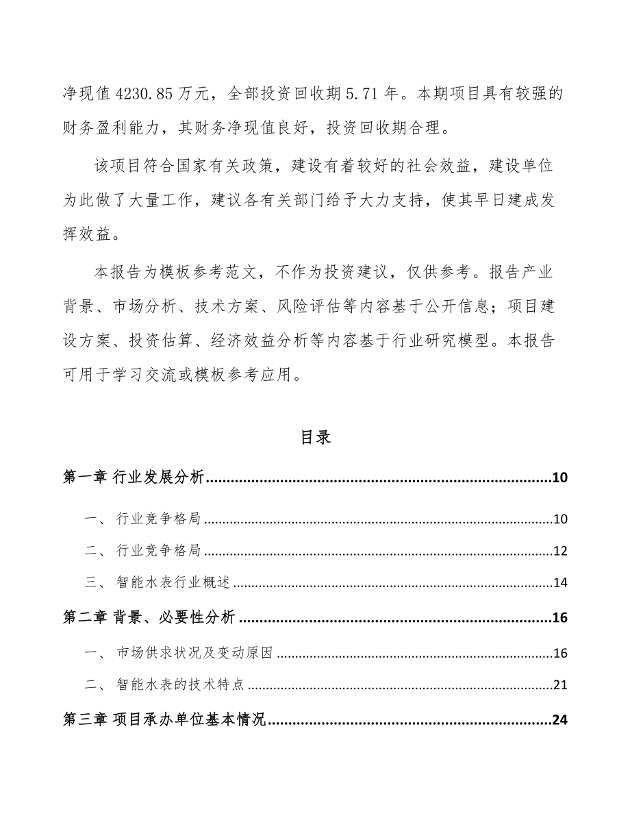 宁夏智能水表项目可行性研究报告.docx_第3页