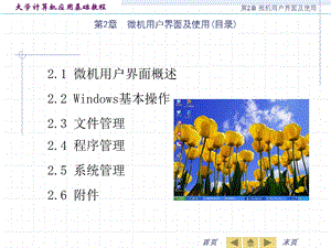 第2章微机用户界面及使用.ppt