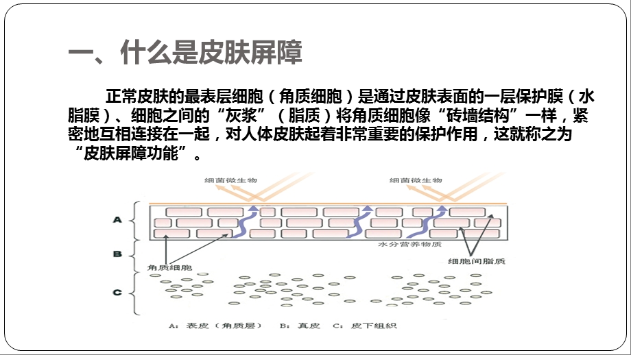 《修复皮肤屏障保湿类护肤品应用指南》解读.ppt_第3页