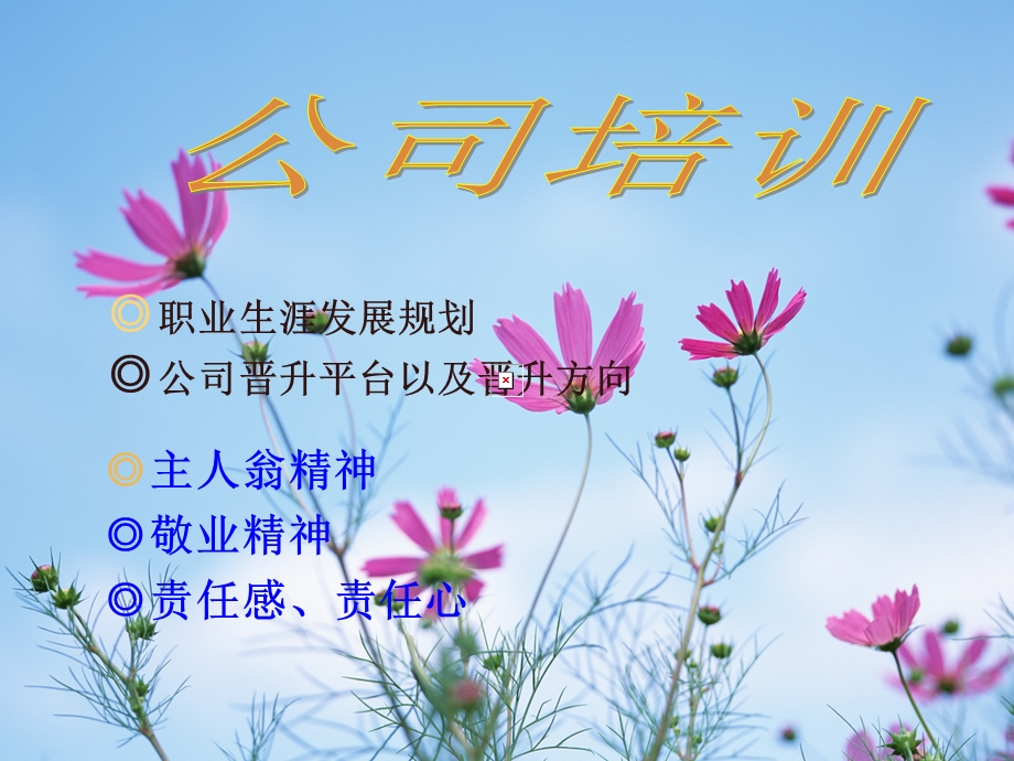 职业生涯发展规.ppt_第1页