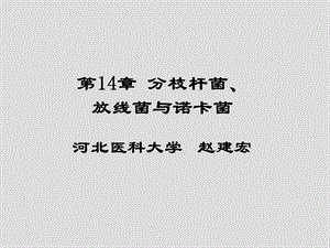 《分枝杆菌》课件.ppt