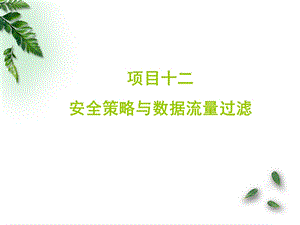 项目12安全策略与数据流量过滤.ppt