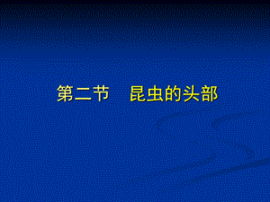 昆虫学课件第二章昆虫的外部形态头部.ppt