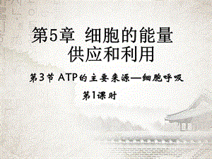 《ATP的主要来源-细胞呼吸》课件.ppt