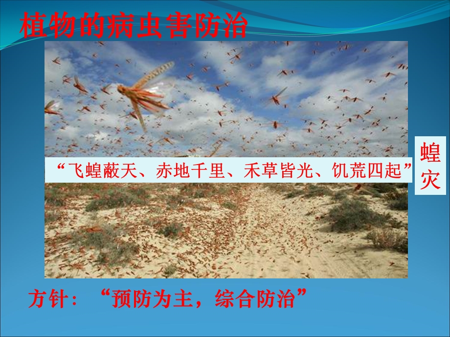 《动物疫病的控制》课件.ppt_第3页