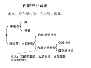 《内脏神经》课件.ppt