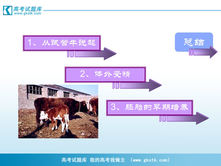 《体外受精和早期胚胎培养》课件2(新人教版选修3).ppt_第3页