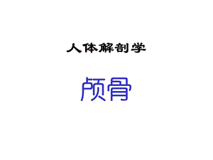 《人体解剖学》-颅骨.ppt