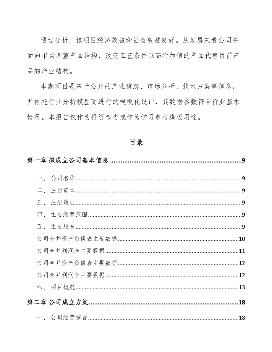 娄底关于成立转轴公司可行性研究报告.docx_第3页