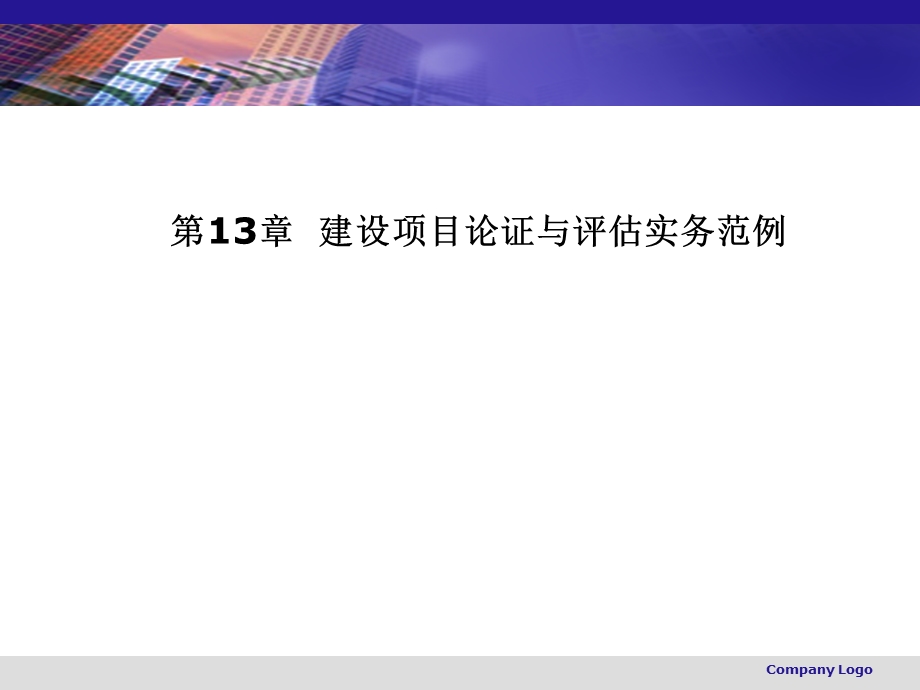 建设项目论证与评估实务范例.ppt_第2页