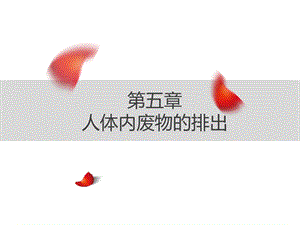 第五章 .人体内废物的排出.ppt