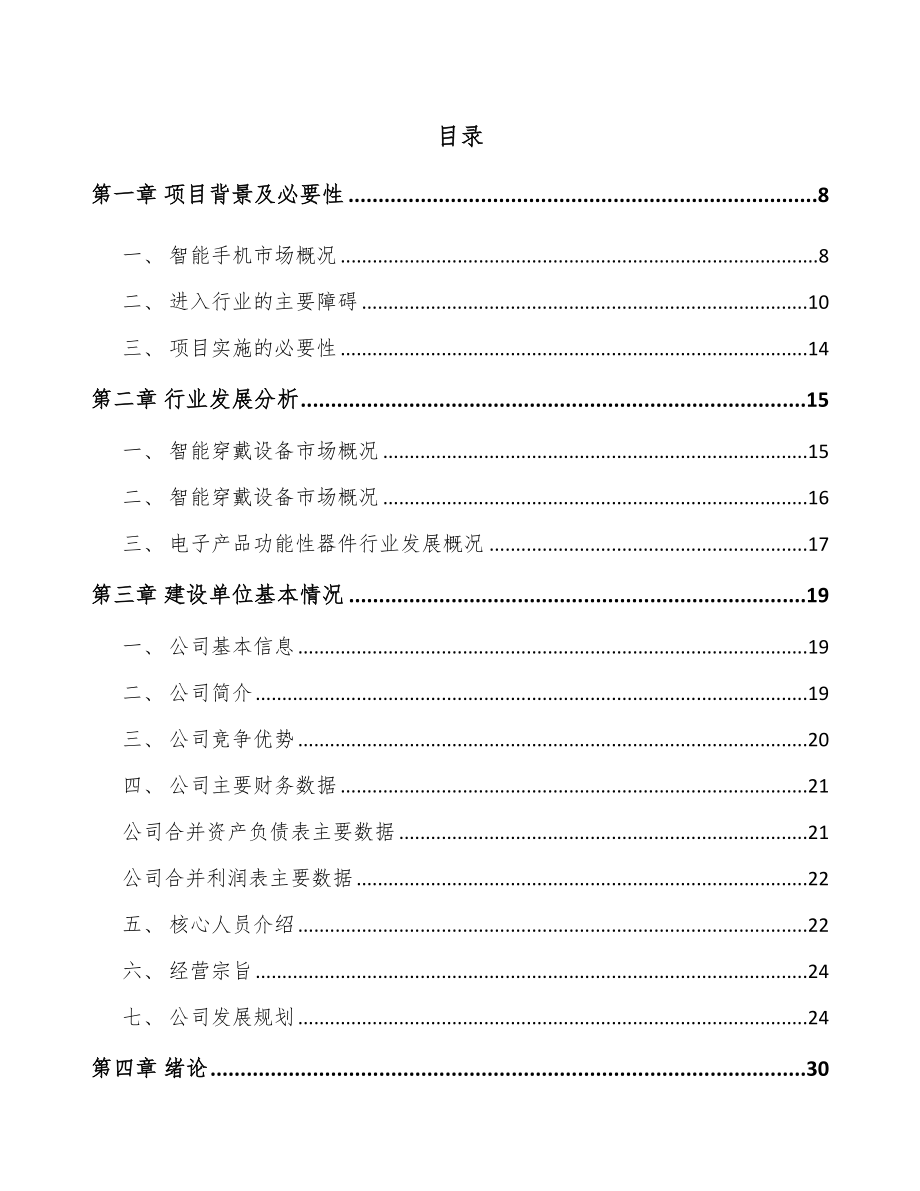 宁夏电子功能性器件项目可行性研究报告.docx_第2页