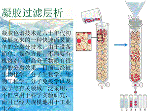 《凝胶过滤层析》课件.ppt