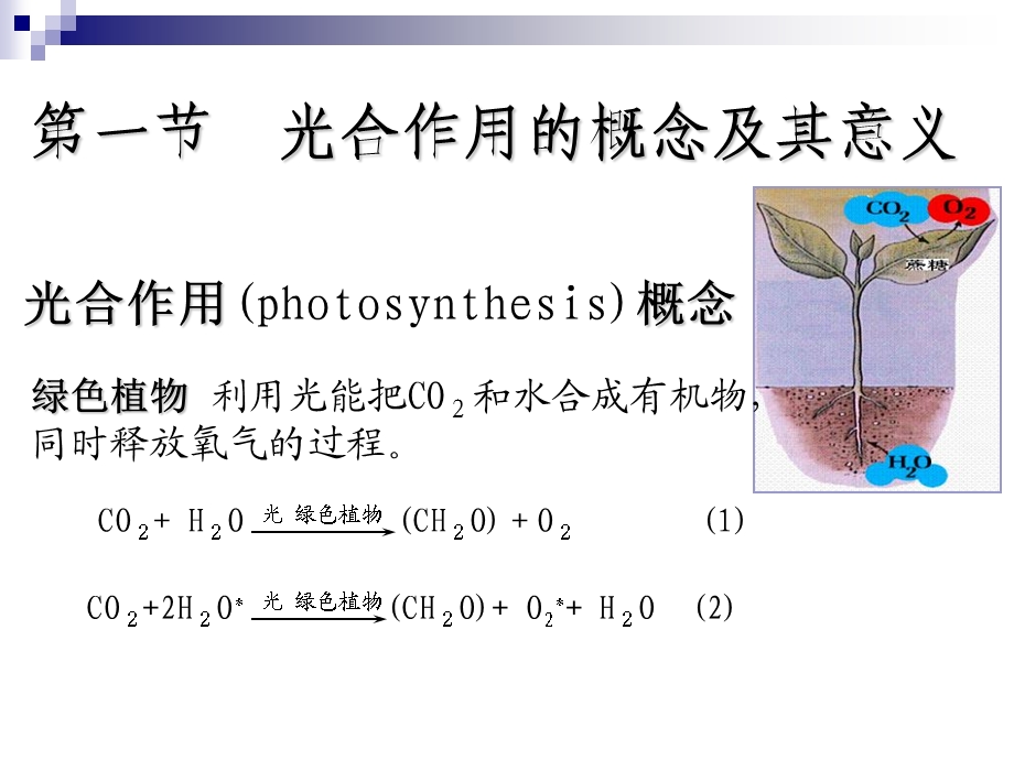 《光合作用》课件.ppt_第2页