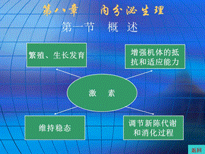 《内分泌生理》课件.ppt