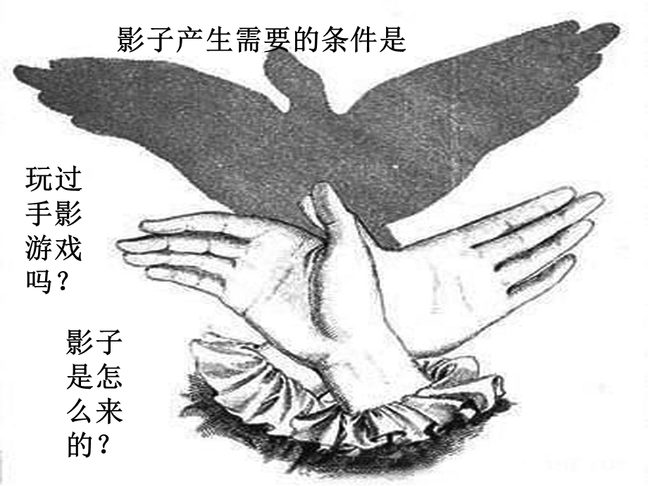 《光和影》-实验说明-动画清晰.ppt_第2页