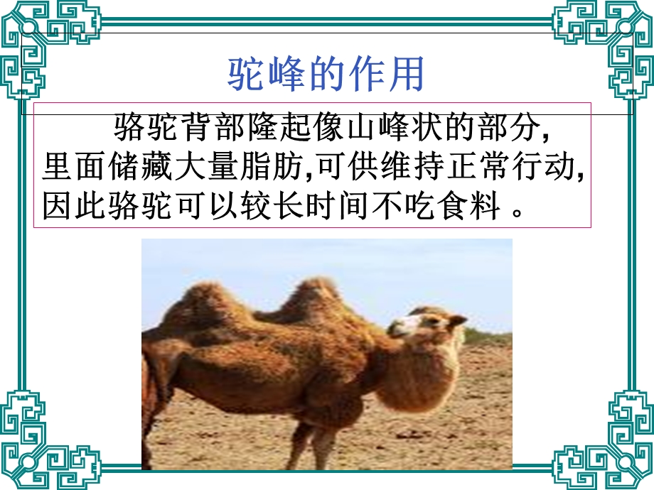 《原来是相互关联的》PPt.ppt_第2页