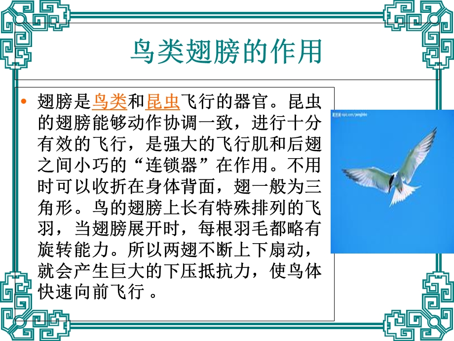 《原来是相互关联的》PPt.ppt_第3页