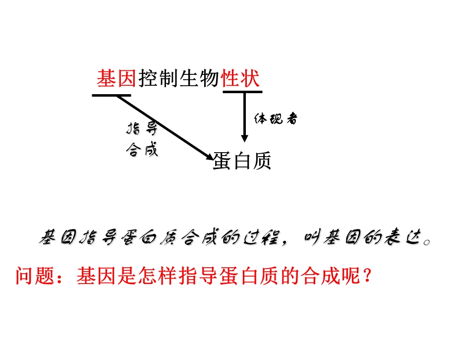 高一生物必修第四章第节基因指导蛋白质的合成.ppt_第3页