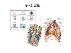 《人体解剖生理学》第一章总论.ppt