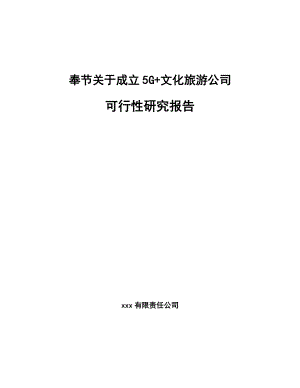 奉节关于成立5G+文化旅游公司可行性研究报告.docx