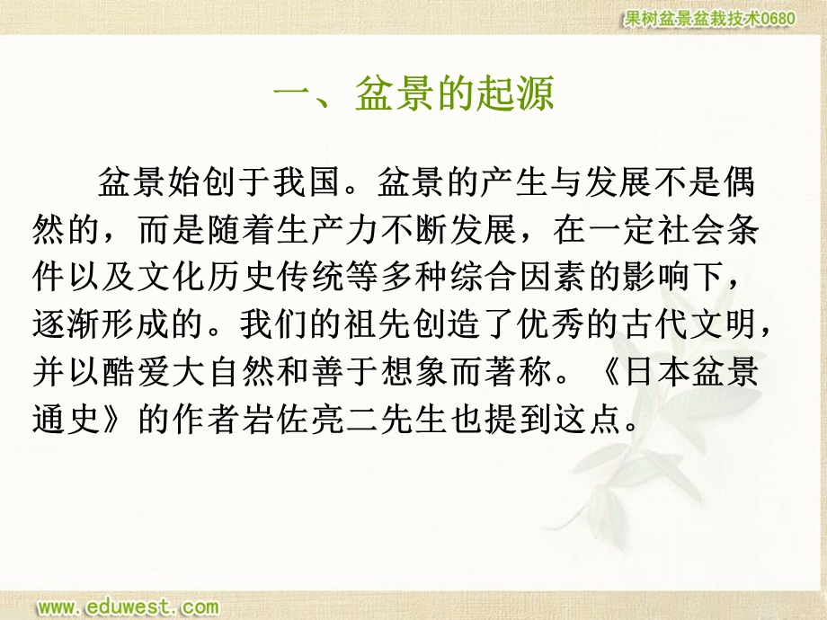 果树盆景盆栽技术辅导课程.ppt_第3页