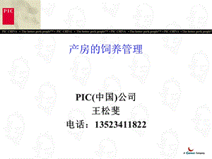 产房的饲养管理 ppt课件.ppt