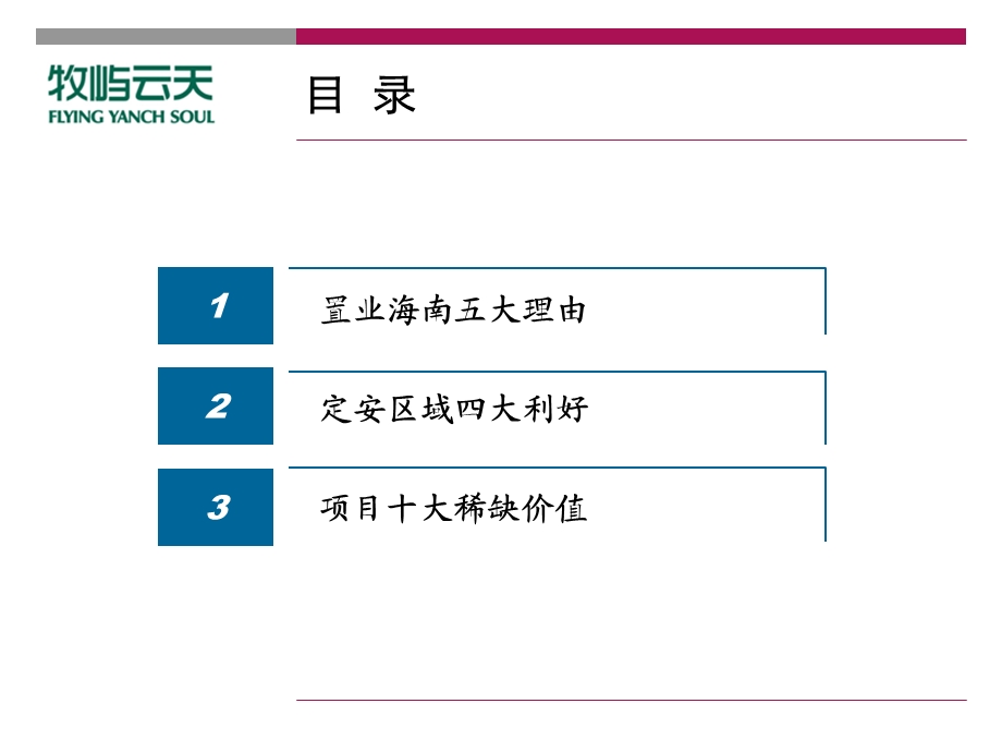 海南以及项目介绍资料.ppt_第2页