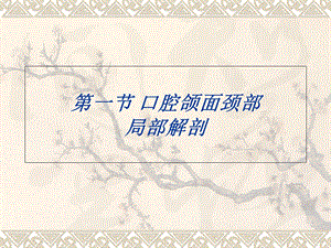 《口腔局部解剖》课件.ppt