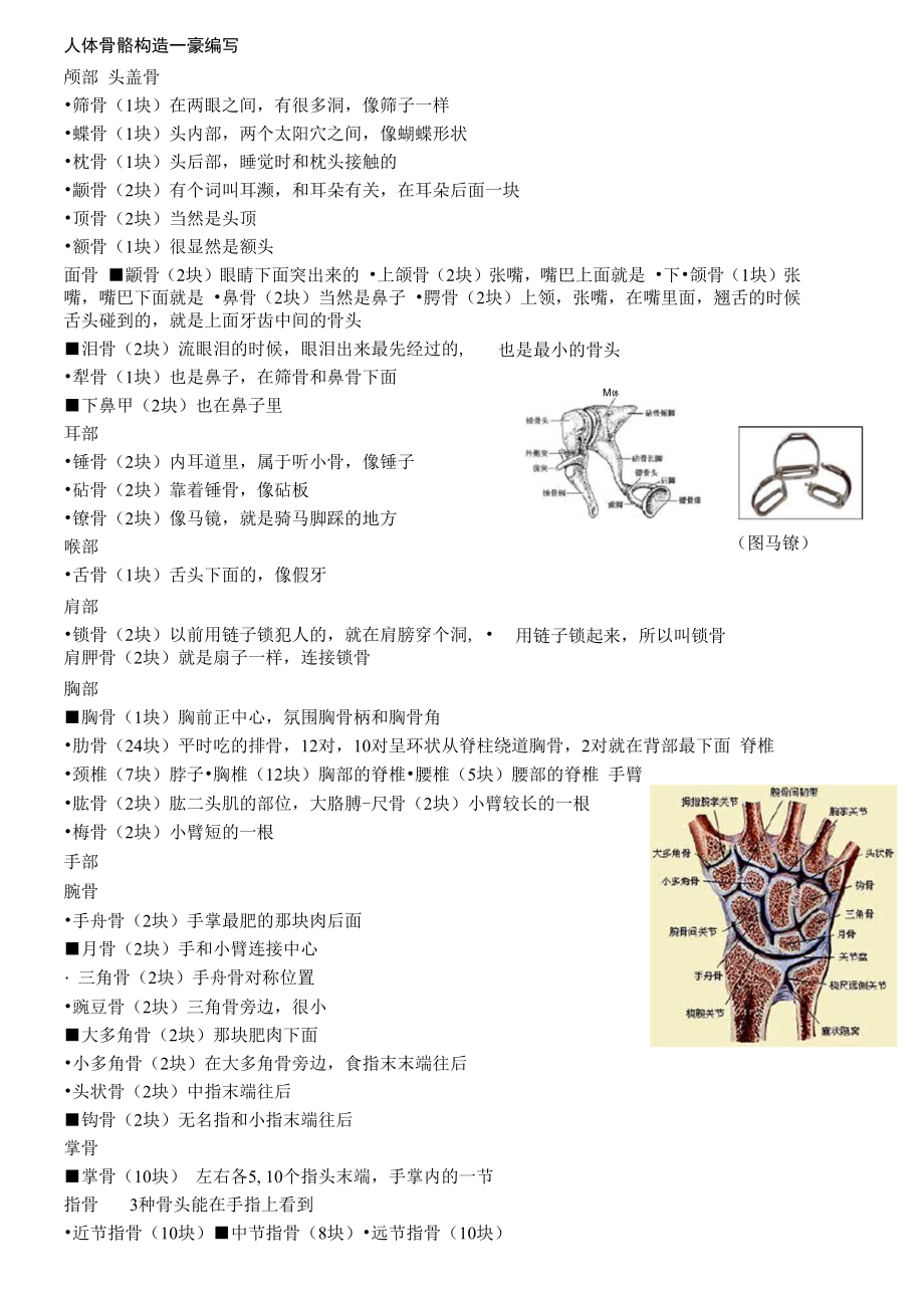 人体骨骼形象记忆.docx_第1页