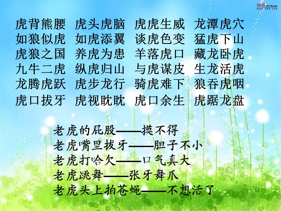 《华南虎》ppt课件.ppt_第2页