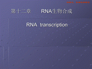 《RNA生物合成》课件.ppt