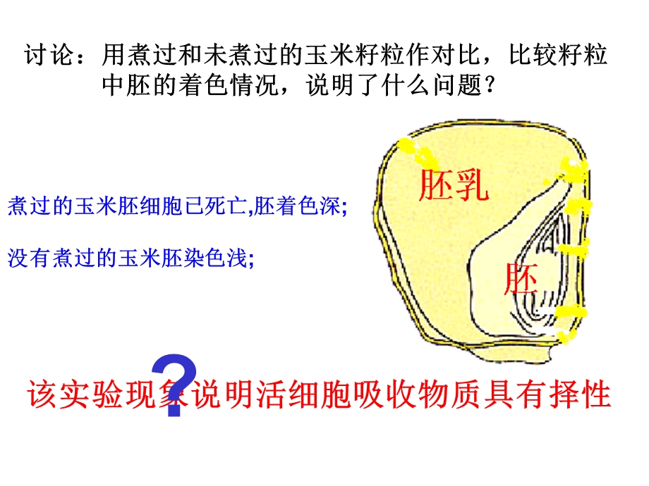 生物必修一第二章第二节细胞膜和细胞壁.ppt_第2页