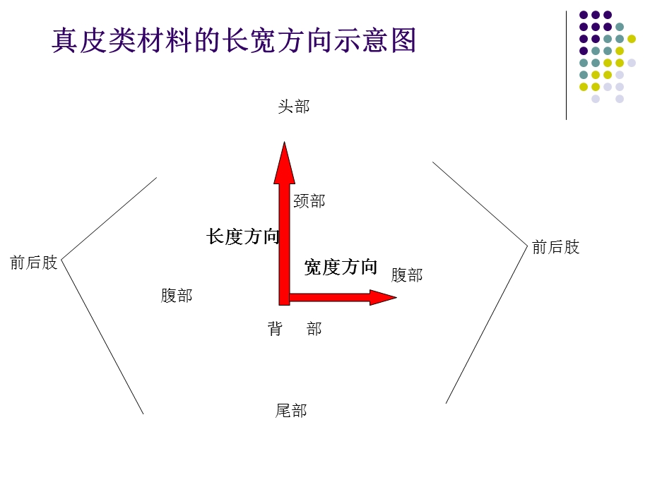 材料的长宽方向定义.ppt_第3页