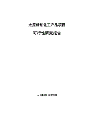 太原精细化工产品项目可行性研究报告.docx