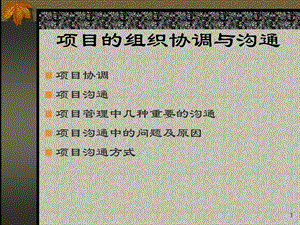 项目的组织协调与沟通.ppt