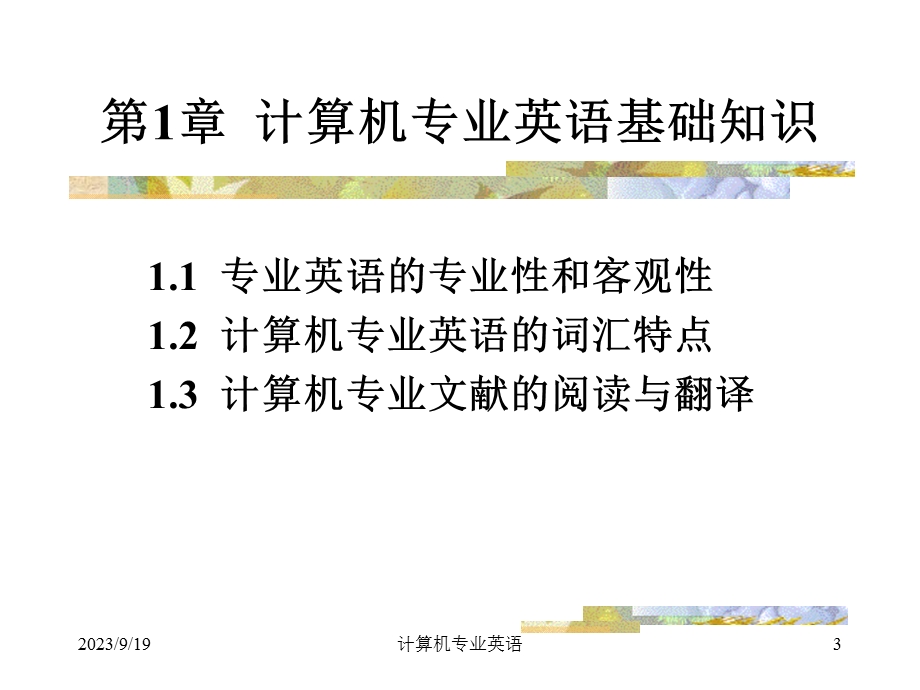 计算机专业英语第一章.ppt_第3页