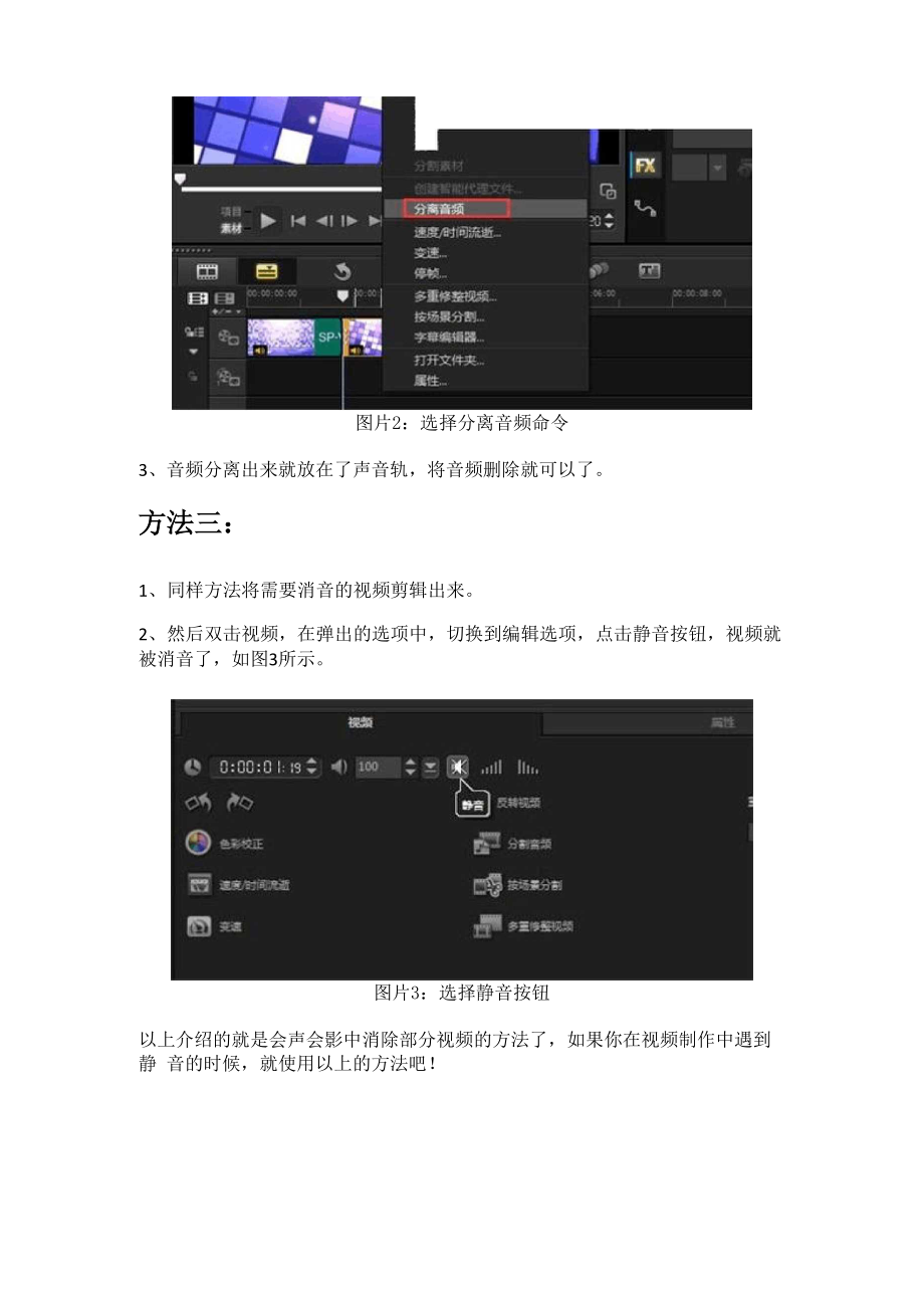 会声会影视频消音教程.docx_第2页