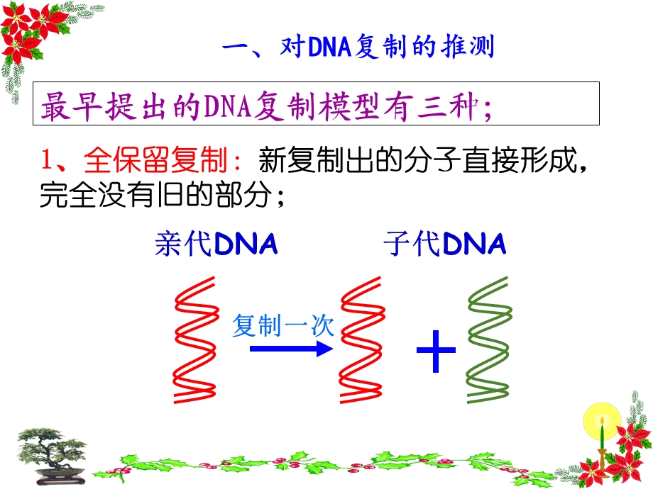 《DNA分子的复制》课件.ppt_第3页