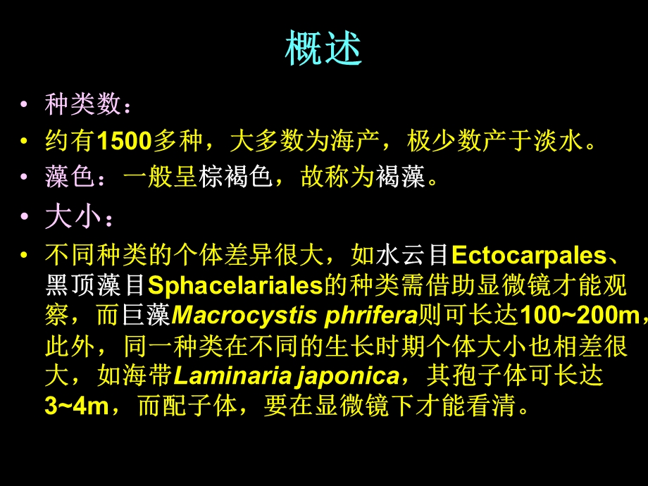 海洋生物学第七章褐藻门.ppt_第2页