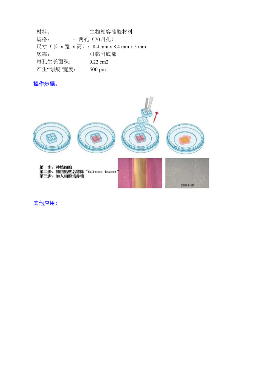 伤口愈合与细胞迁移实验.docx_第2页