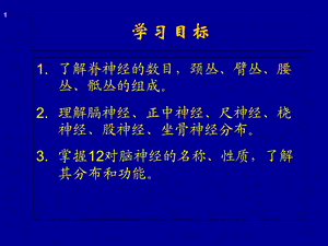 《周围神经系统》课件.ppt