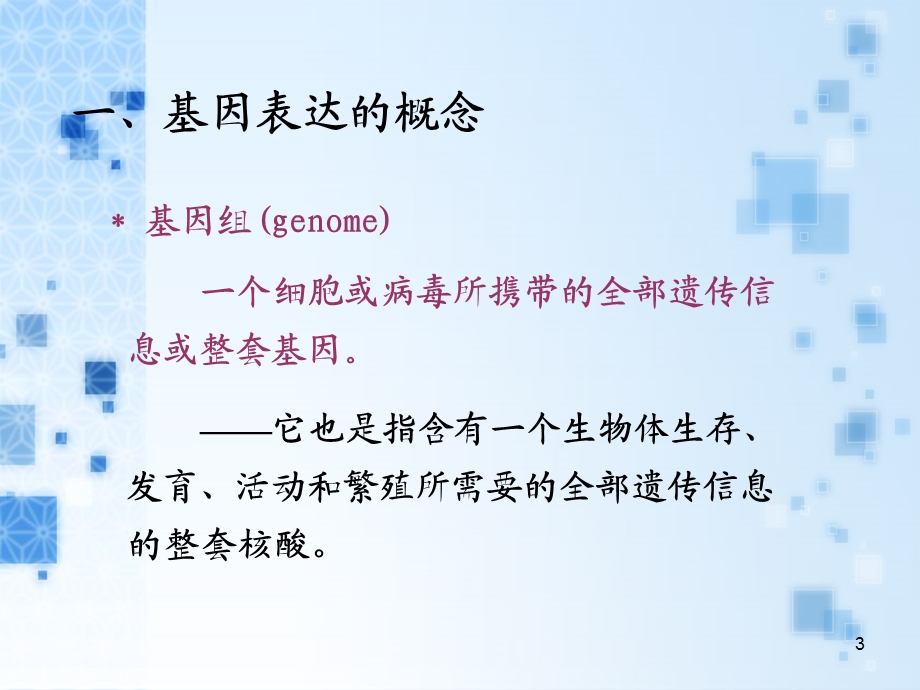 第十三章基因表达调控课件.ppt_第3页