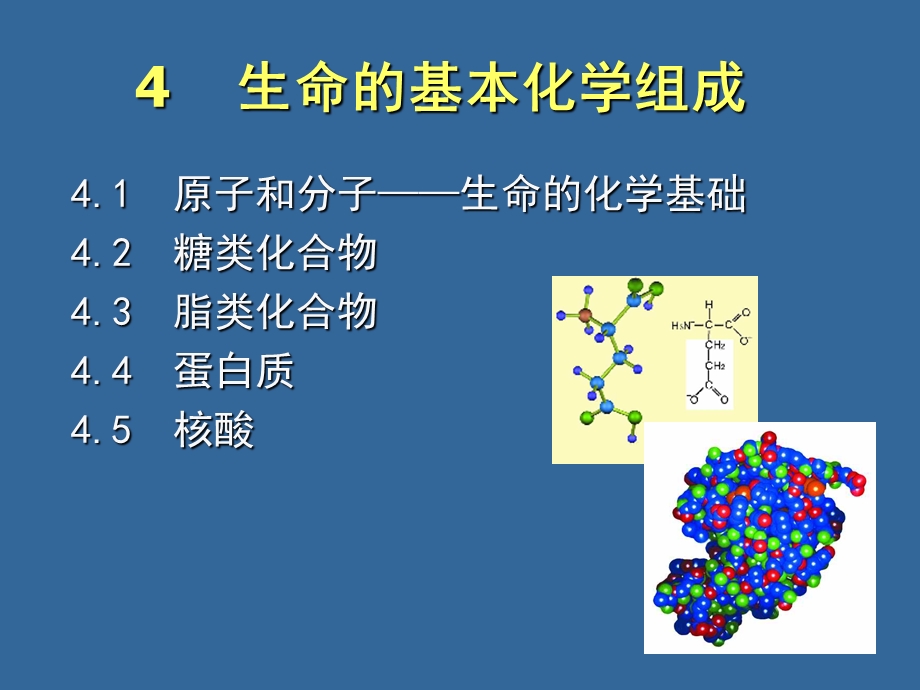 生命的基本化学组成.ppt_第1页