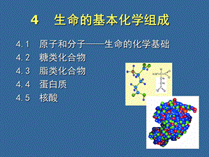 生命的基本化学组成.ppt