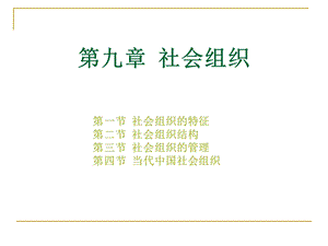 社会学课件第九章社会组织.ppt