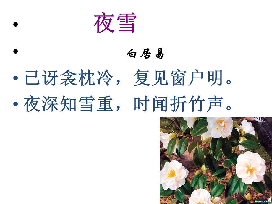 诗歌鉴赏(表达技巧和表达方式).ppt_第3页